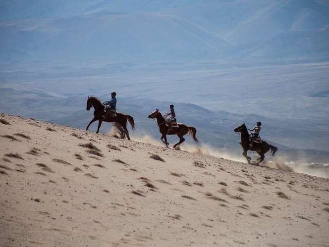 Horseback riding in Atacama desert